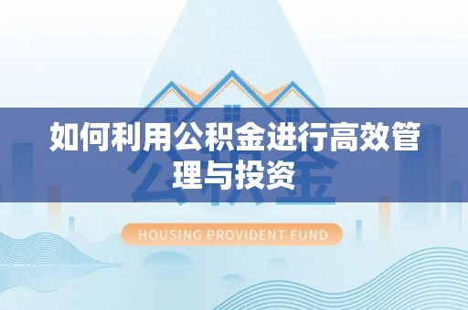 新河如何利用公积金进行高效管理与投资