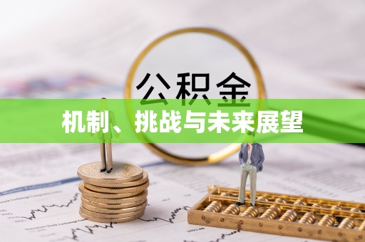 汕头机制、挑战与未来展望