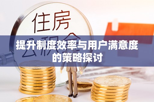 陇川提升制度效率与用户满意度的策略探讨