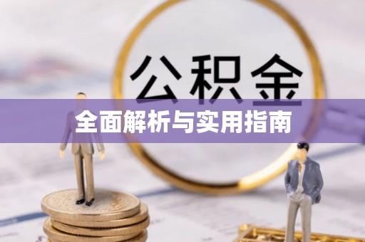 陇川全面解析与实用指南