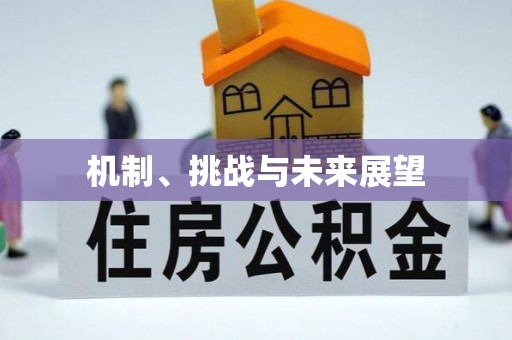 吉首机制、挑战与未来展望